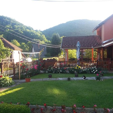 Guesthouse Tadic Гуча Экстерьер фото
