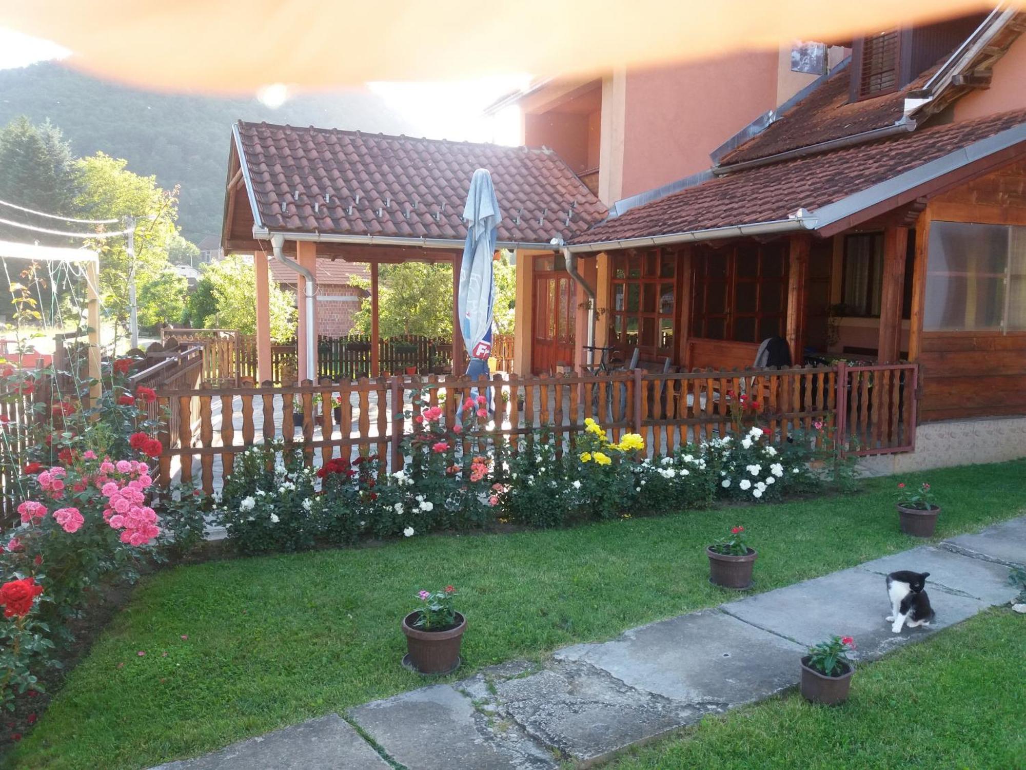 Guesthouse Tadic Гуча Экстерьер фото